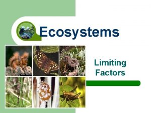 Ecosystems Limiting Factors Limiting Factors l A limiting