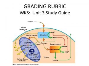 GRADING RUBRIC WKS Unit 3 Study Guide 1