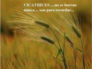 CICATRICES no se borran nunca son para recordar