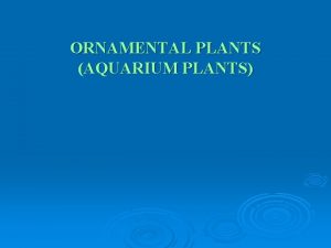 ORNAMENTAL PLANTS AQUARIUM PLANTS Importance 1 2 3