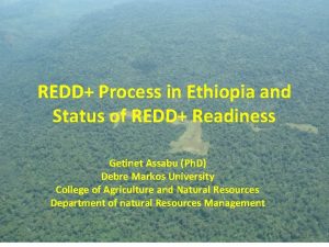 REDD Process in Ethiopia and Status of REDD