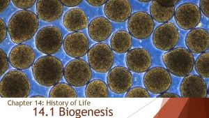 Chapter 14 History of Life 14 1 Biogenesis