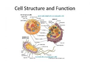 Cell Structure and Function Two Basic Cell Types