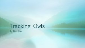 Tracking Owls By Ella Jiao Why Track Owls