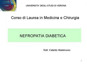 UNIVERSITA DEGLI STUDI DI VERONA Corso di Laurea