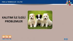 FEN ve TEKNOLOJ KALITIM LE LGL PROBLEMLER 1