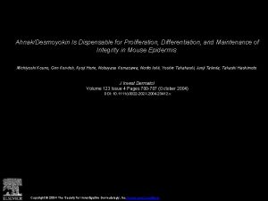 AhnakDesmoyokin Is Dispensable for Proliferation Differentiation and Maintenance