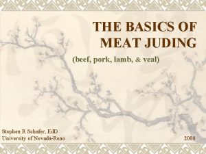 THE BASICS OF MEAT JUDING beef pork lamb