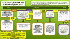 La stabilit gntique des individus Cycle 4 4me