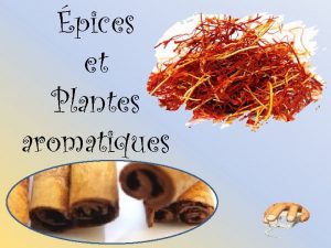 pices et Plantes aromatiques Les pices Une pice