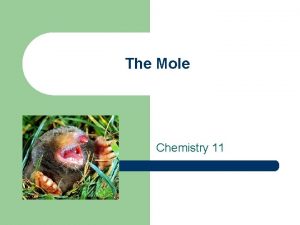 The Mole Chemistry 11 The Mole The Mole