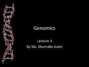 Genomics Lecture 3 By Ms Shumaila Azam Proteins