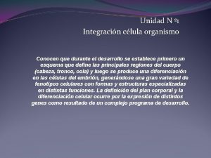 Unidad N 1 Integracin clula organismo Conocen que