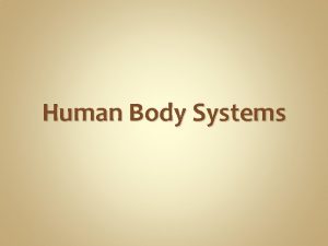 Human Body Systems Nervous System Purpose The Nervous