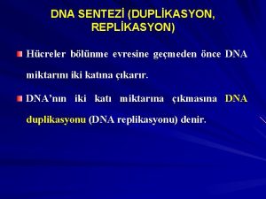 DNA SENTEZ DUPLKASYON REPLKASYON Hcreler blnme evresine gemeden