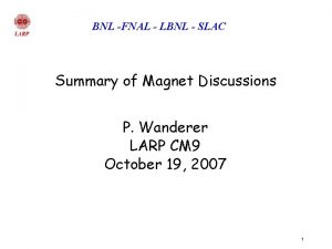 BNL FNAL LBNL SLAC Summary of Magnet Discussions