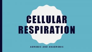CELLULAR RESPIRATION AEROBIC AND ANAEROBIC ENERGY All cells