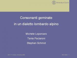 Consonanti geminate in un dialetto lombardo alpino Michele