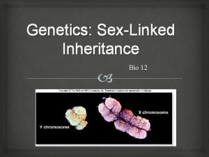 Genetics SexLinked Inheritance Bio 12 Review Sex Chromosomes