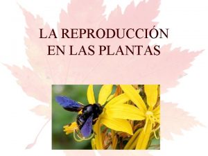 LA REPRODUCCIN EN LAS PLANTAS Tipos de reproduccin