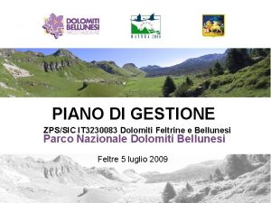 PIANO DI GESTIONE ZPSSIC IT 3230083 Dolomiti Feltrine
