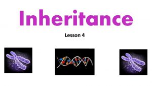 Inheritance Lesson 4 Lesson 4 Learning Intention Use