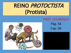 REINO PROTOCTISTA Protista PROF LOURENO Pg 54 Cap