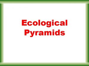 Ecological Pyramids Ecological Pyramids Instead of representing trophic