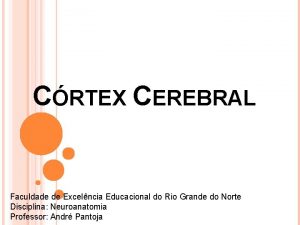 CRTEX CEREBRAL Faculdade de Excelncia Educacional do Rio