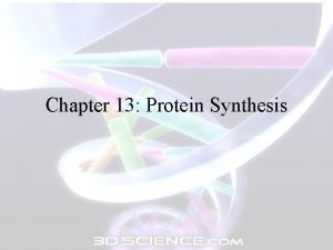 Chapter 13 Protein Synthesis Chapter 13 Protein Synthesis