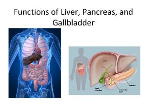 Functions of Liver Pancreas and Gallbladder The Digestive