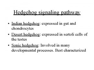 Hedgehog signaling pathway Indian hedgehog expressed in gut