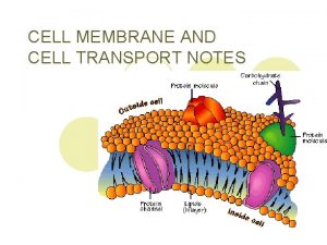 CELL MEMBRANE AND CELL TRANSPORT NOTES Standard Cell