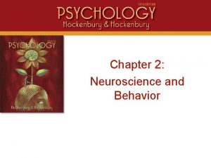 Chapter 2 Neuroscience and Behavior Neurons and Synapses
