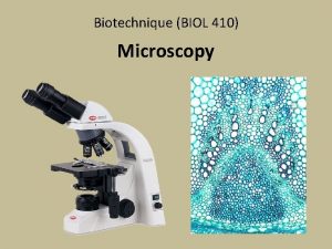 Biotechnique BIOL 410 Microscopy Microscopy An important tool