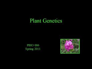 Plant Genetics well mostly plants PBIO 006 Spring