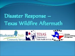 Disaster Response Texas Wildfire Aftermath The Disaster Strikes