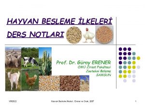 HAYVAN BESLEME LKELER DERS NOTLARI Prof Dr Gray