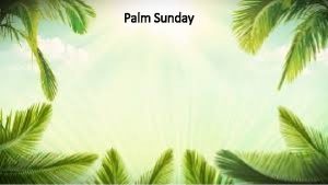 Palm Sunday Palm Sunday Jesus healed the sick