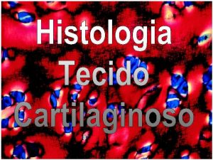 Histologia Tecido cartilaginoso cartilagens Suporte para tecidos moles