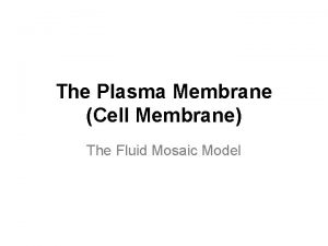 The Plasma Membrane Cell Membrane The Fluid Mosaic