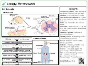 Biology Homeostasis Key Concepts Key Words Reflex actions