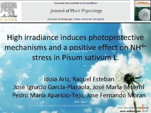 High irradiance induces photoprotective mechanisms and a positive