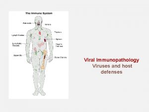 Viral Immunopathology Viruses and host defenses Immunopathology Responses