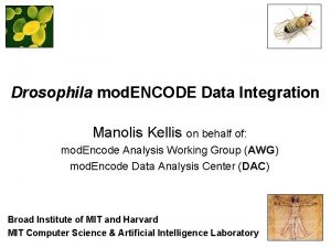 Drosophila mod ENCODE Data Integration Manolis Kellis on