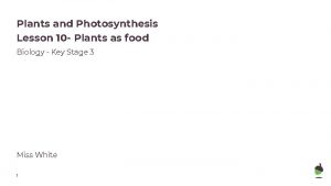 Plants and Photosynthesis Lesson 10 Plants as food