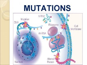 MUTATIONS Mutations Mutation is a change in the