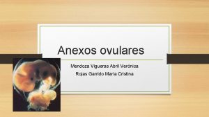 Anexos ovulares Mendoza Vigueras Abril Vernica Rojas Garrido