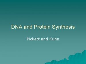 DNA and Protein Synthesis Pickett and Kuhn Friday