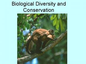 Biological Diversity and Conservation Biodiversity The variety of